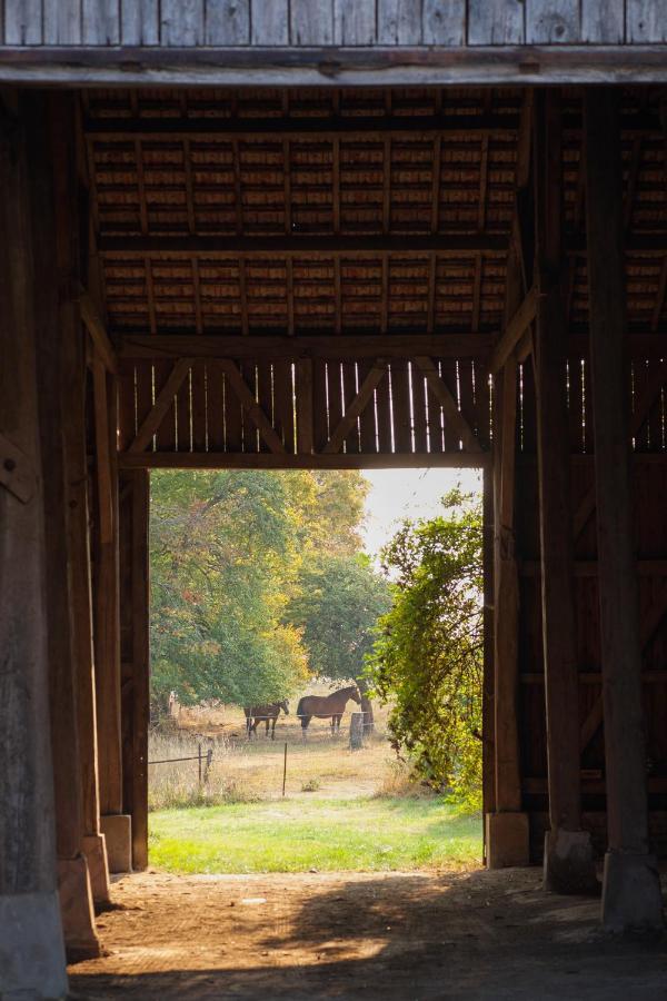 Chambre D'Hotes Fantesstique Berzieux Exteriér fotografie